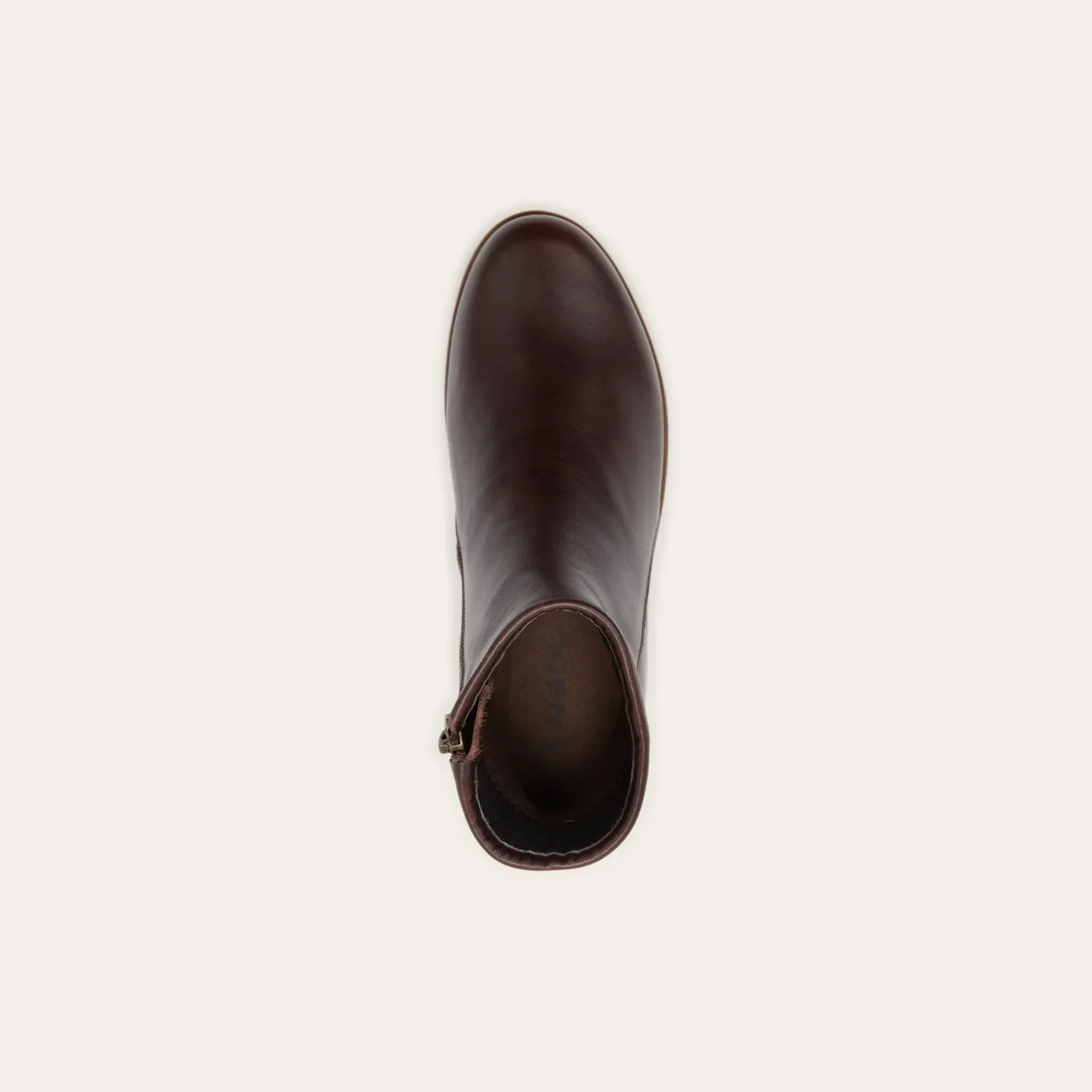 תמונה ממוזערת 3